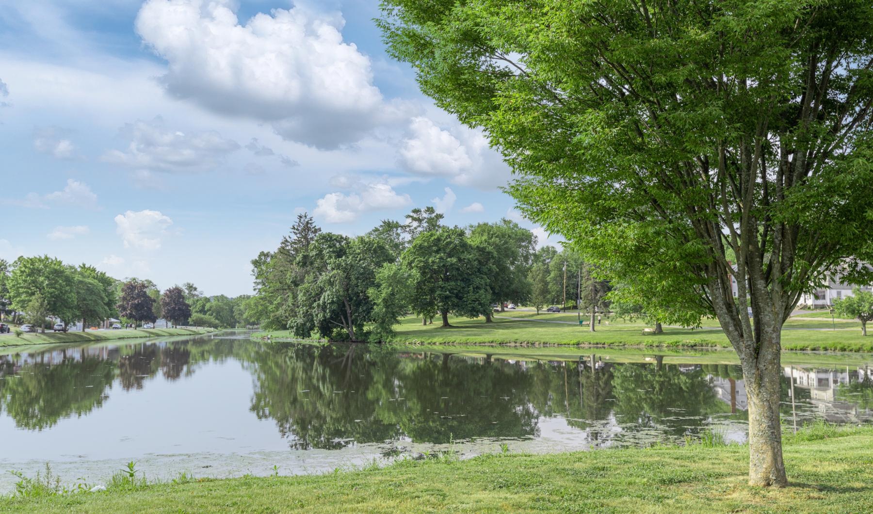 The essence of exceptional living a pond with trees and grass around it